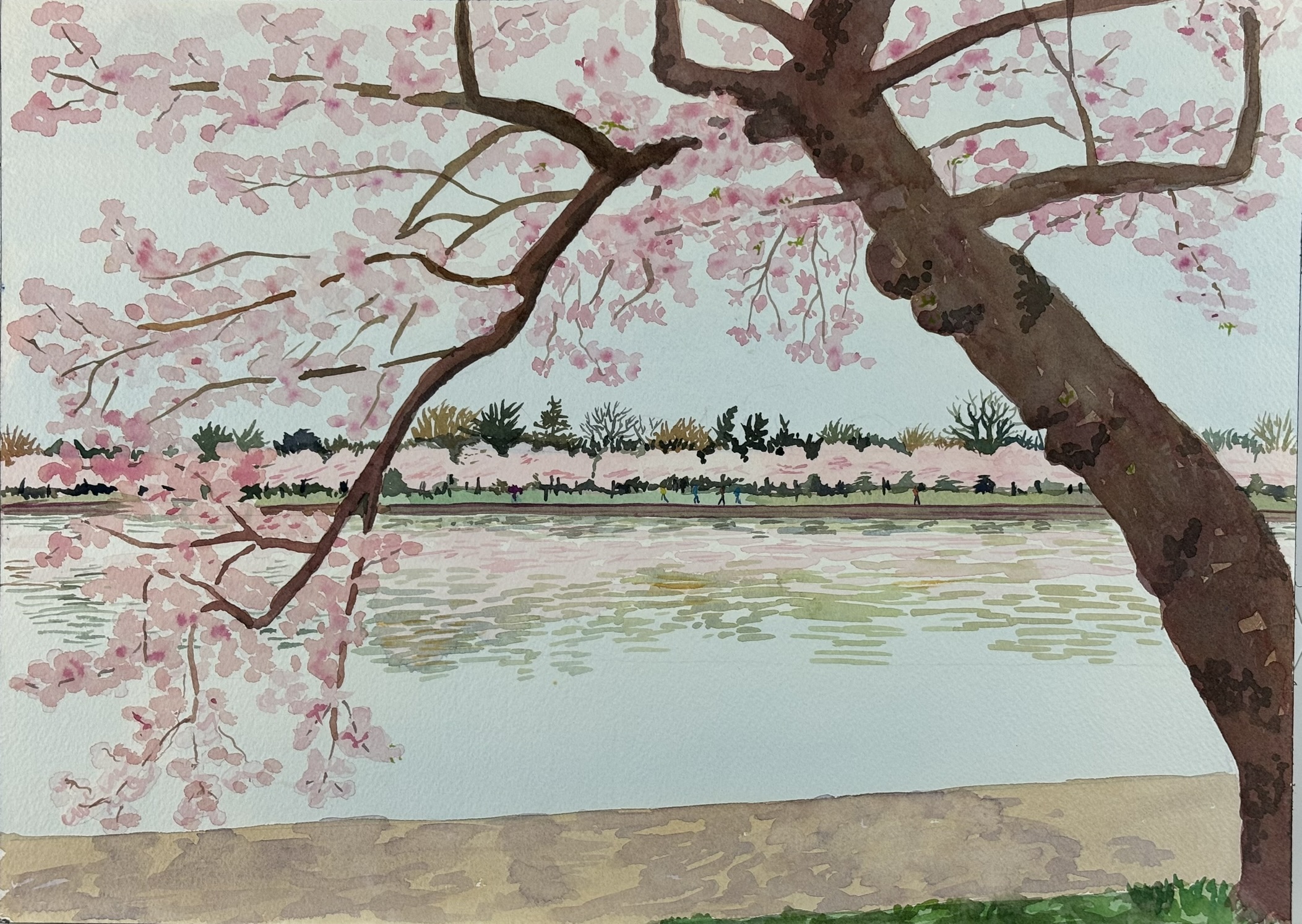 Cherry blossom landscape, 14x10 inches, watercolor on paper