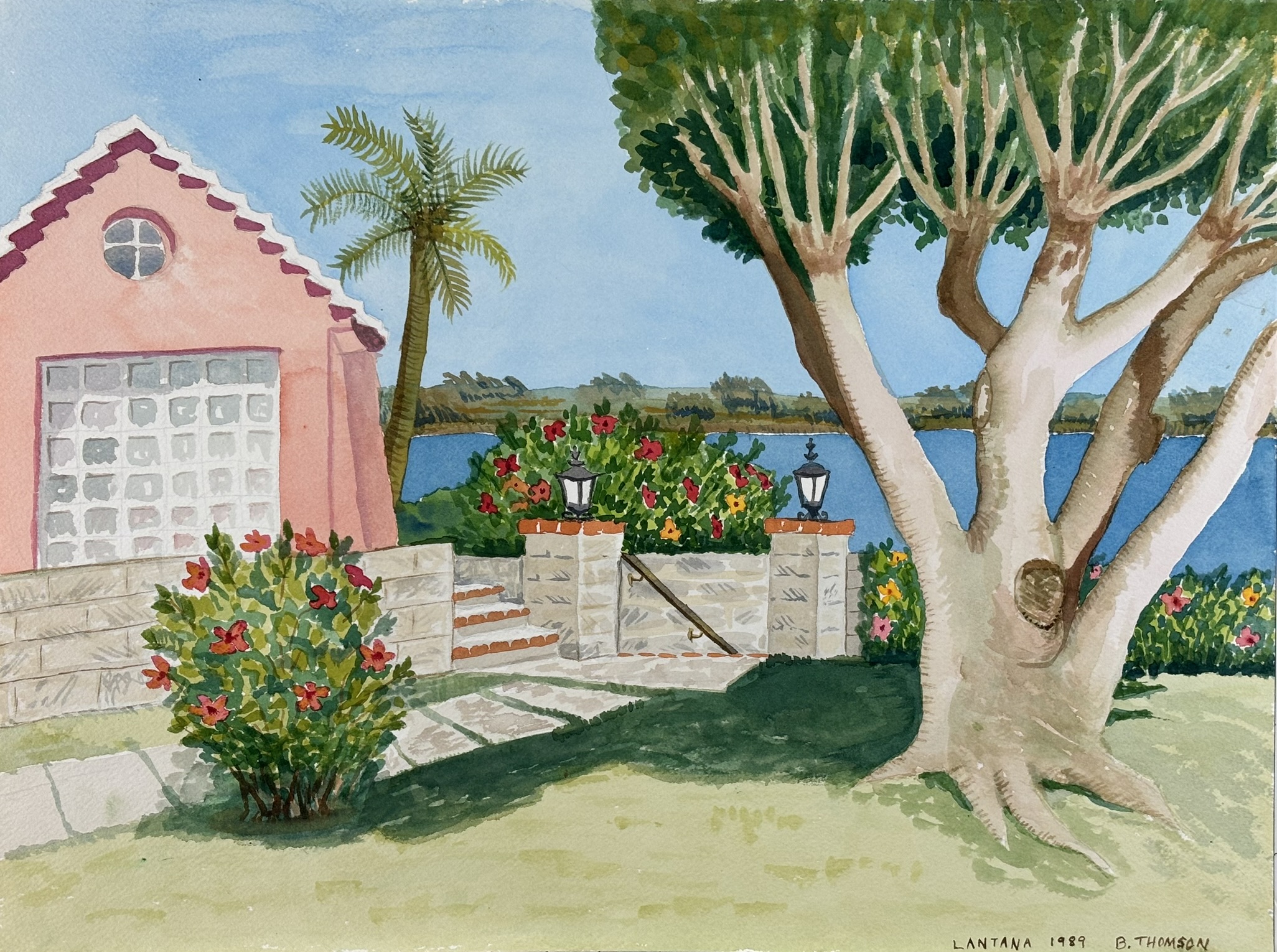 Lantana 1989, 16x12 inches, watercolor on paper