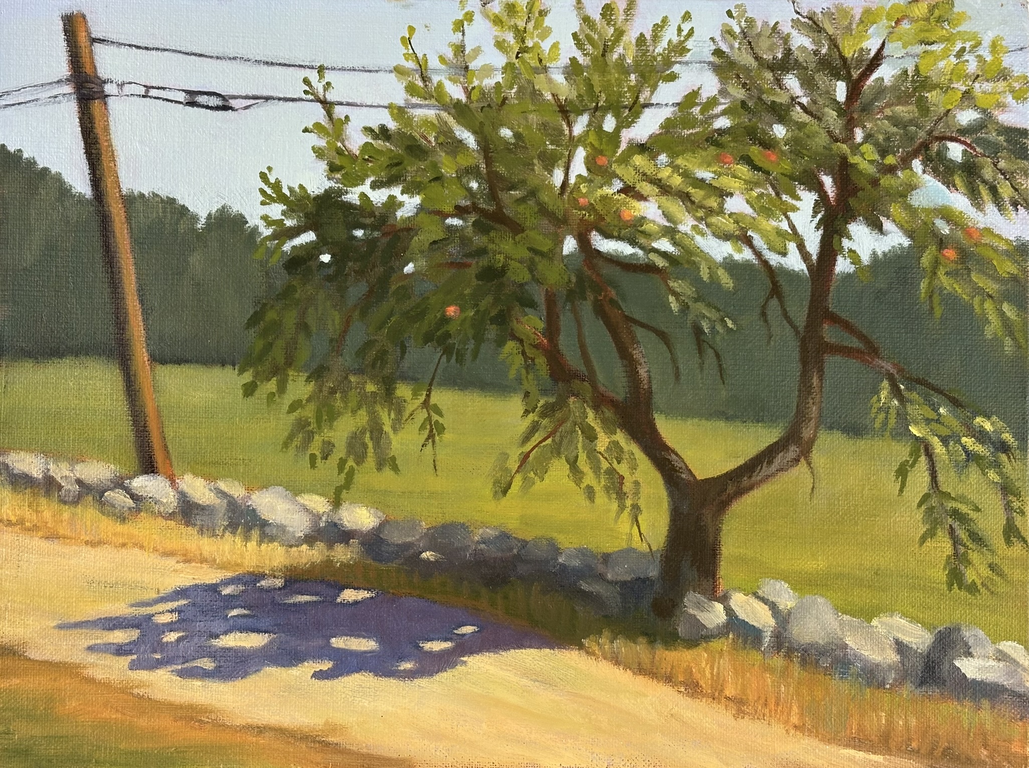 Tree besides the road and it shadow, 12x9 inches, oil on board