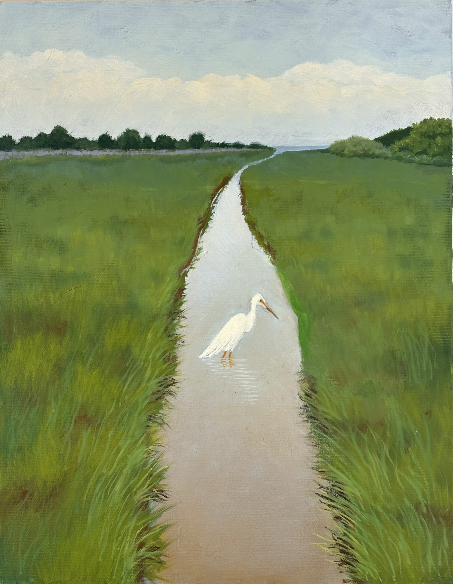 White heron in creek, 14x11 inches, oil on board